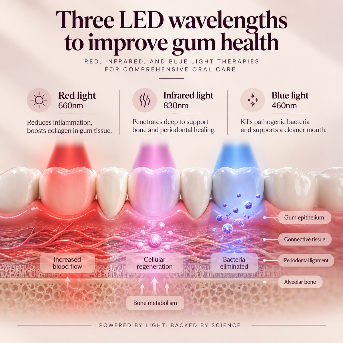 Oralumi Red + Blue Light Toothbrush